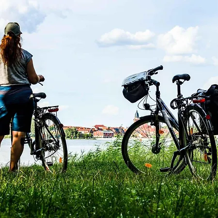 - Modernes Design Nahe Mueritzstrand & Wellness アパート